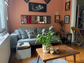 Cozy Home Apartments